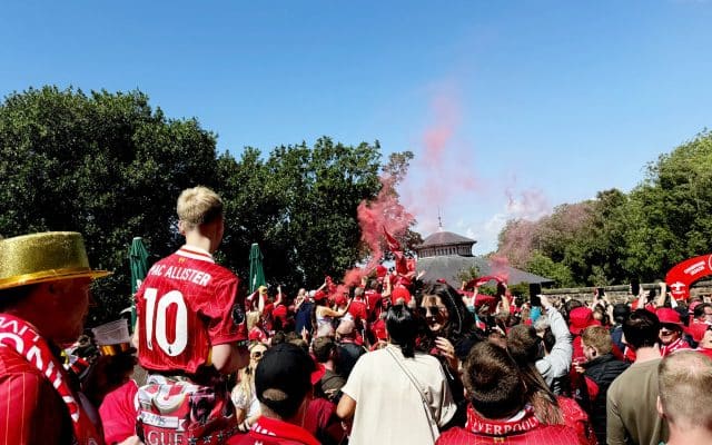 supporters looking at concert